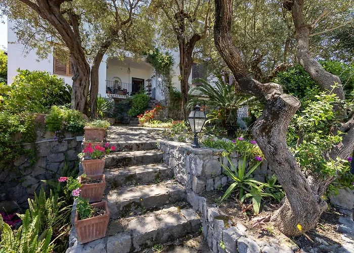 Ulivi - De Vivo Realty Semesterbostad *