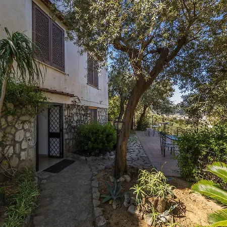 Ulivi Apt - De Vivo Realty Sorrento * Sorrento
