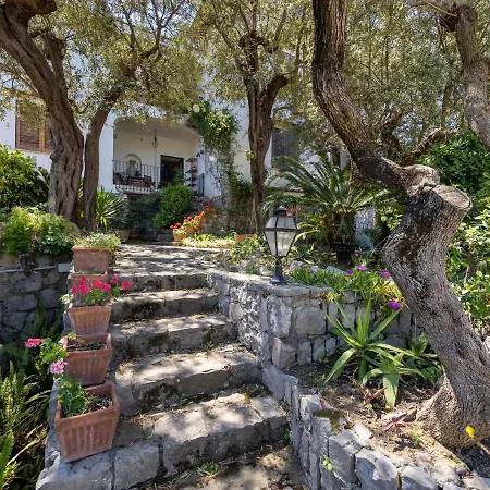 Ulivi Apt - De Vivo Realty Sorrento Vakantiehuis *