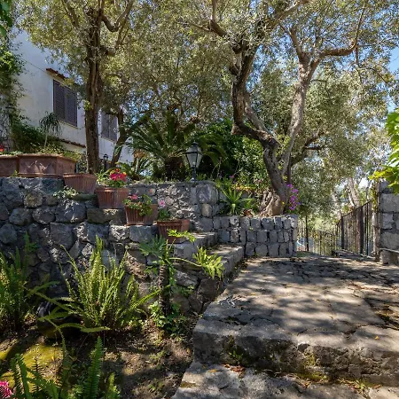 Ulivi Apt - De Vivo Realty Sorrento